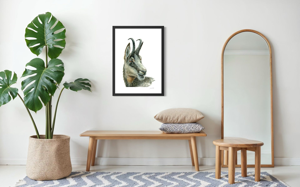 Portrait chamois_in situ_©Derib-Orakart.webp