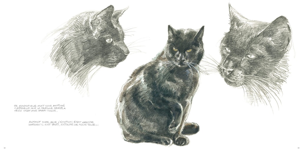 L'Aventure d'un crayon