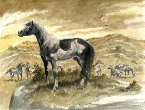 Chevaux #1